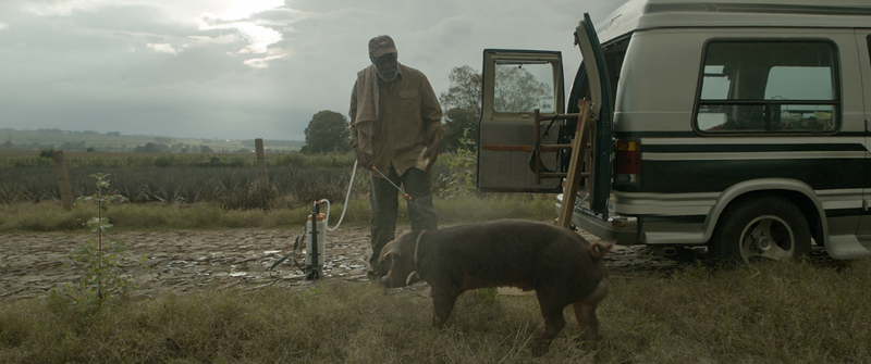 Danny Glover in Mr. Pig (Damin Garca)